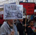 Global March for Elephants and Rhinos Liverpool